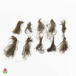 Fournitures De Jardin Soldes 2024 -Fournitures De Jardin Soldes 2024 030766 wil QLZ 030766 1 1704796374564