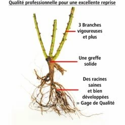 Fournitures De Jardin Soldes 2024 -Fournitures De Jardin Soldes 2024 103760 2 1706544213674