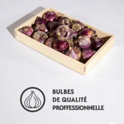 Fournitures De Jardin Soldes 2024 -Fournitures De Jardin Soldes 2024 qlz 103814 2